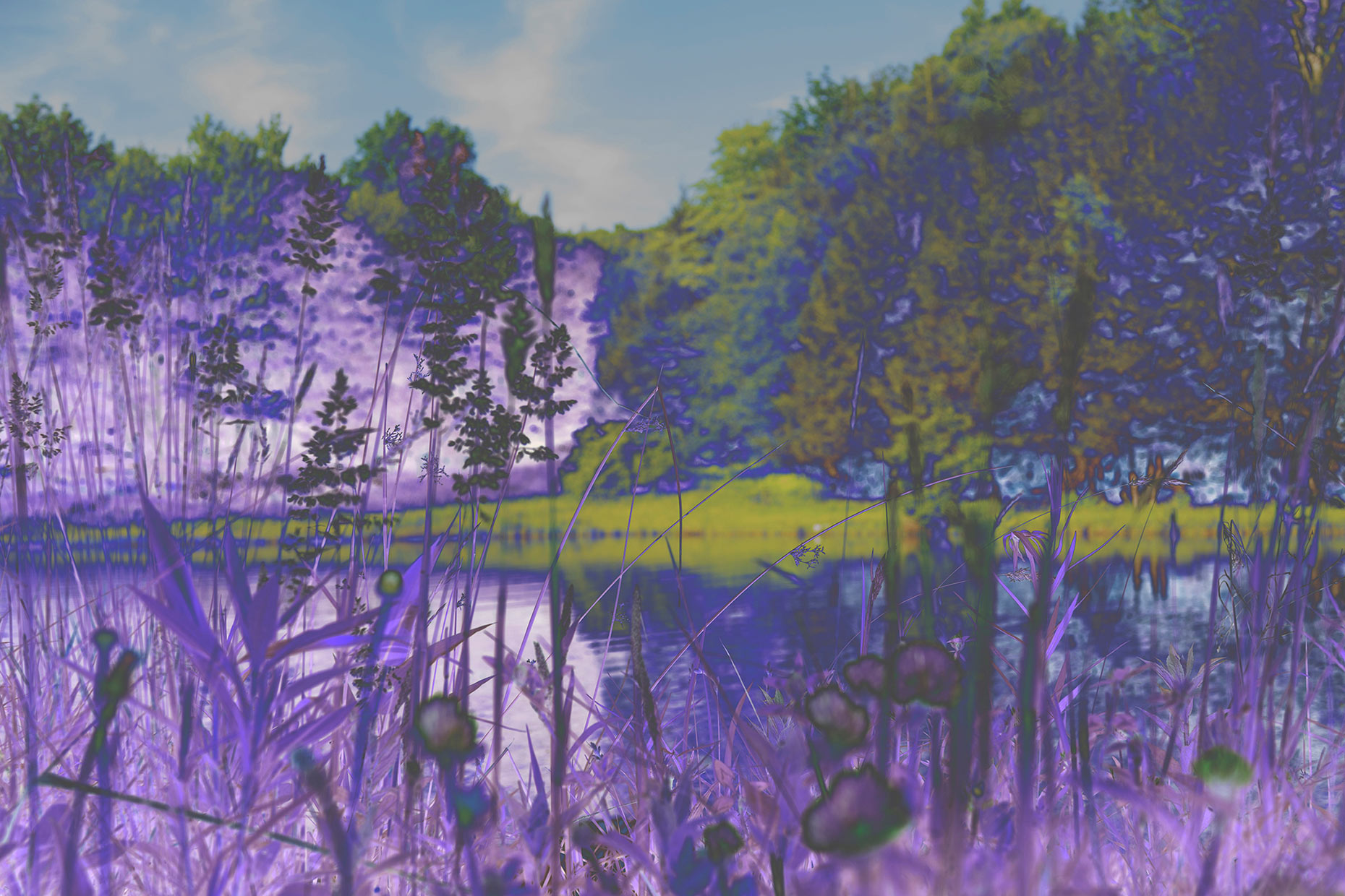 UPSTATE